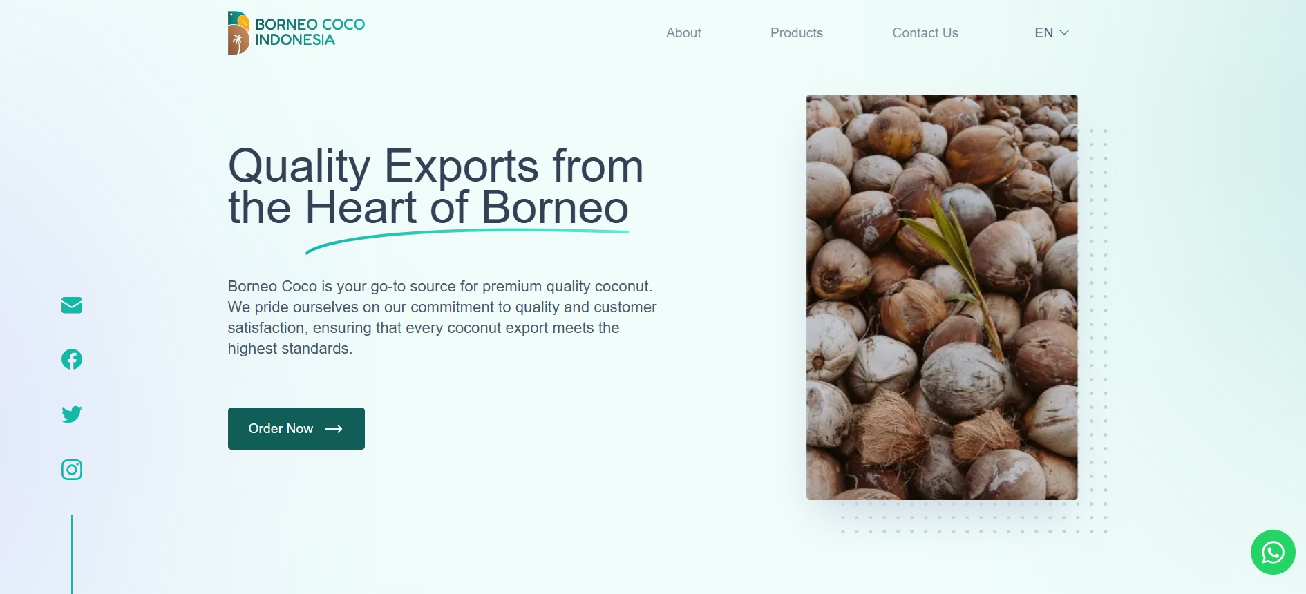 Borneo Coco Indonesia